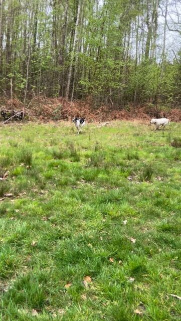 It takes time to build these relationships. But do it well, you get happy results.