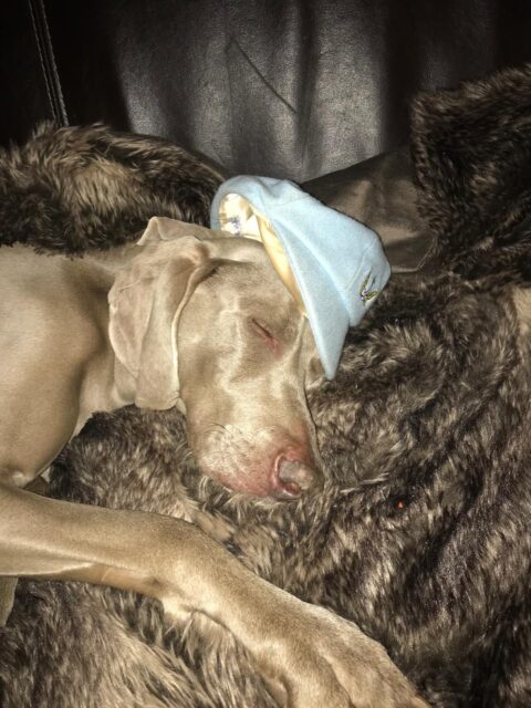 Happy 14th birthday to our precious girl. You’ve come a long way baby. Here’s to you Samantha. The 🍎 of our eye. ♥️